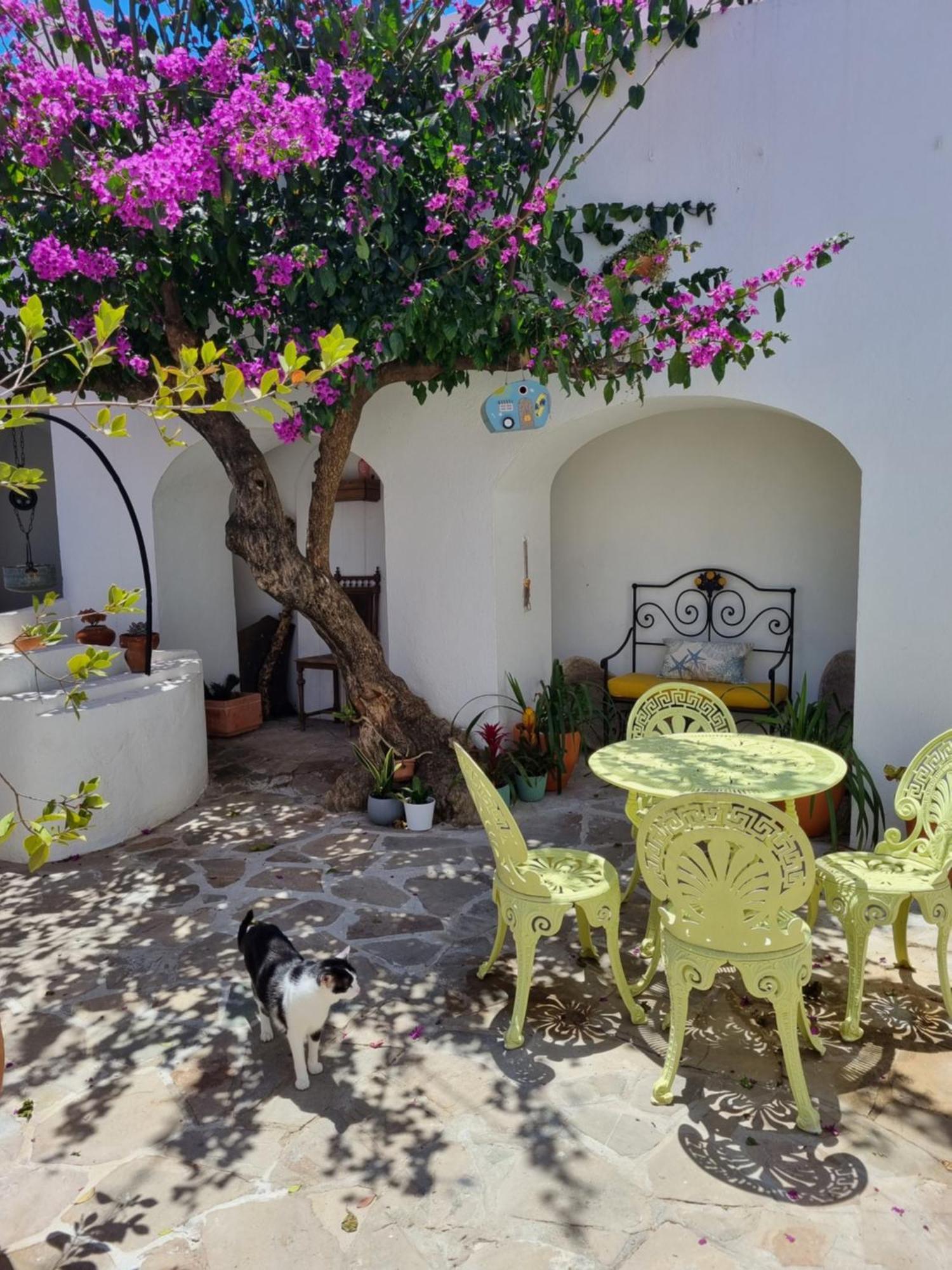 Castle House And Beach Sines Bagian luar foto